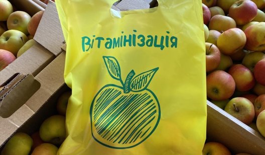 Витаминизация по-славянски: школьники получили 20 тонн яблок от земляка