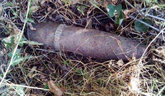 В лесу под Богородичным обнаружили снаряд