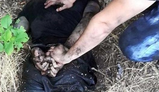 Уходил через болото: под Славянском полицейские поймали грабителя
