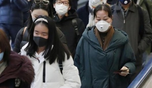 В Китае установили источник смертельного коронавируса