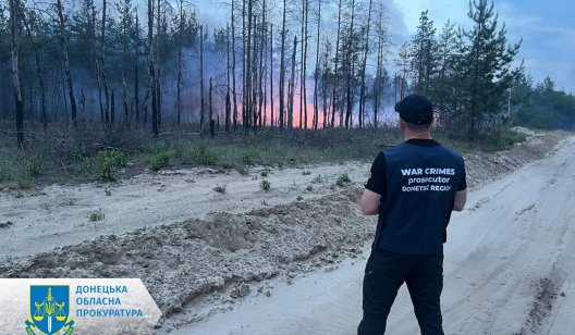 Росіяни підпалили ліс