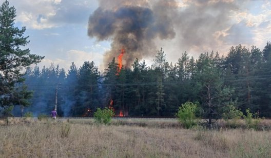 Пожежа в Нацпарку «Святі гори»: вогонь охопив 4 гектари лісу