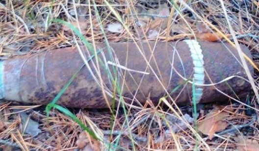 В лесу за Святогорском грибники обнаружили снаряд