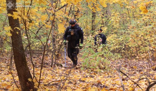 Піротехніки ДСНС обстежують деокупований ліс у «Святих горах»