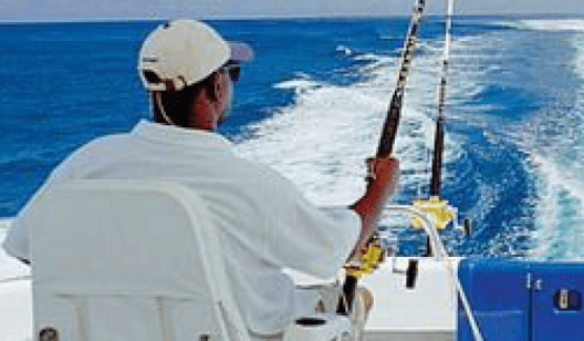 Качественные эхолоты для рыбалки