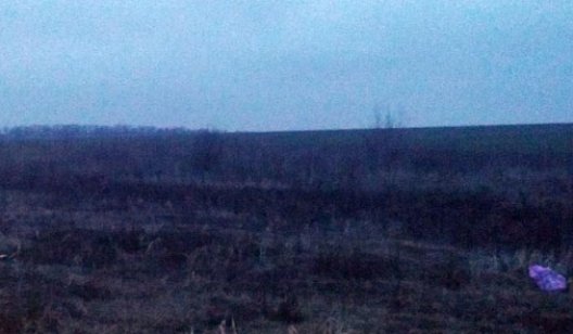 В Донецкой области нашли обгоревшие человеческие останки