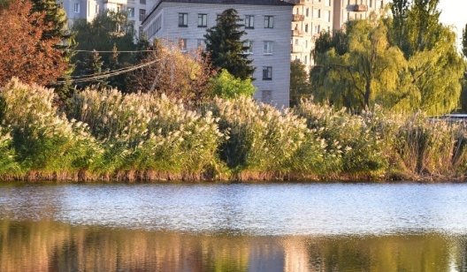 В Славянске предлагают запретить строительство "Эпицентра" на берегу озера