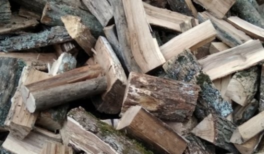 Какие дрова не подходят для отопления – антирейтинг