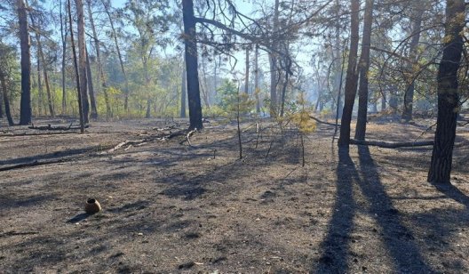 Святогірськ атакували вперше за півтора року: відео