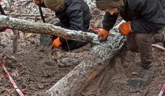 Під Богородичним виявили тіла загиблих захисників