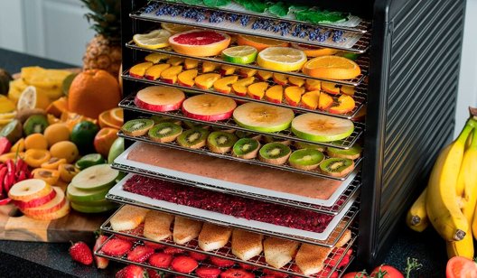 Как зарабатывать на влажности: сушилки и осушители, которые меняют пищевой бизнес