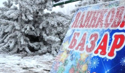 Где в Славянске можно будет купить "законную" ёлку к Новому году: перечень мест