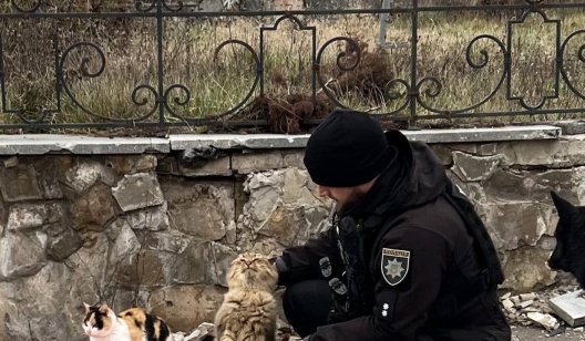 У Богородичному поліцейські підгодовують тварин