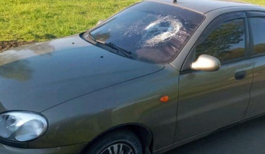Повредил полицейского: в Донецкой области пьяный водитель неудачно "вышел" из ситуации