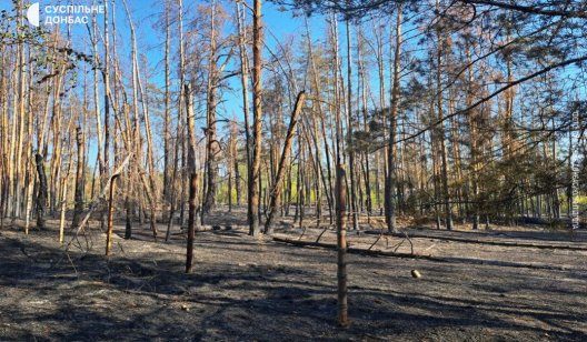 У Святогірську вдалося запобігти масштабній лісовій пожежі