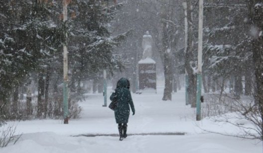 В Украине допустили закрытие школ из-за грядущих сильных морозов