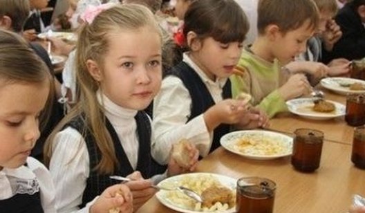 Детей переселенцев будут кормить бесплатно в детсадах и школах, — закон