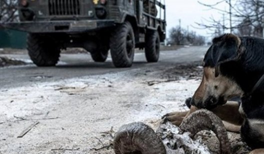 На Донбассе автомобиль с военными наехал на мину. Один боец погиб