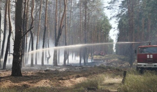 В Луганской области вспыхнули лесные пожары