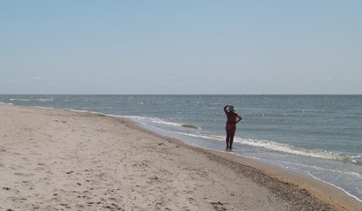 Дикие пляжи, нудисты, изумительная природа: что там, на самом краю Бердянской косы?