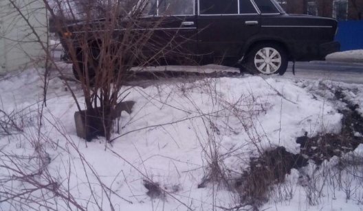 В авариях на дорогах Славянска и района пострадали два пешехода