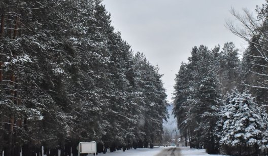 Что происходит в Святогорске? Безопасно ли возвращаться? Отвечает глава администрации города