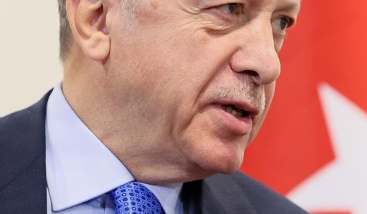 Ердоган закликав Путіна до "одностороннього припинення вогню"