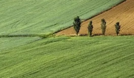 Забрать пай у соседа. Как в Украине хотят укрупнить земельные владения и что с правом на бесплатные гектары