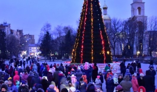 В Славянске хотят украсить елку за полмиллиона гривен