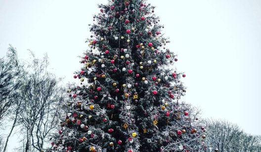 Украина рождественская: как выглядят елки в разных городах страны - обзор соцсетей