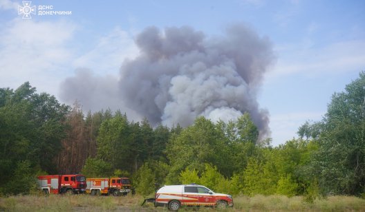 Гасили 8 днів. Під Святогірськом ліквідовано лісові пожежі