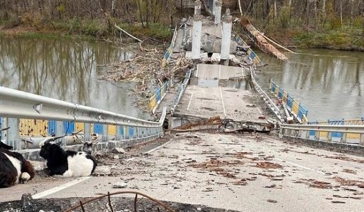 У Богородичному річку Сіверський Донець тепер можна перейти вбрід