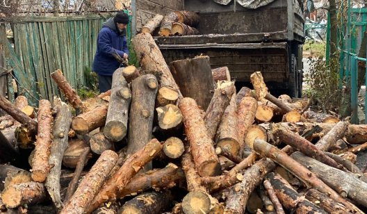 Як жителям Святогірської громади отримати безкоштовні дрова