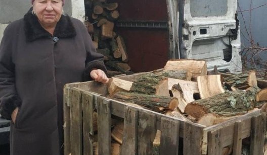По какому принципу в Славянске распределяются бесплатные дрова
