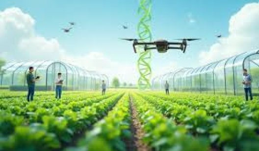 Інноваційні рішення в сільському господарстві: дорога до ефективності