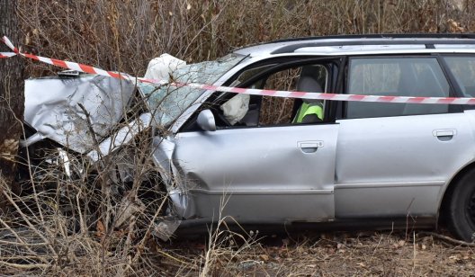 По дороге из Святогорска серьезное ДТП:  Audi улетел в кювет и врезался в дерево