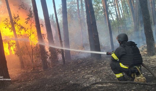 Обстріл околиць Слов’янська: у ДСНС заявили, що ворог завдав удару по Карпівці