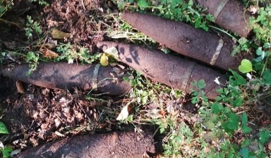 В лесу Богородичного нашли взрывоопасные предметы