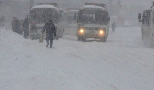 Опасная погода: в Донецкой области прогнозируют мокрый снег, ветер и гололедицу