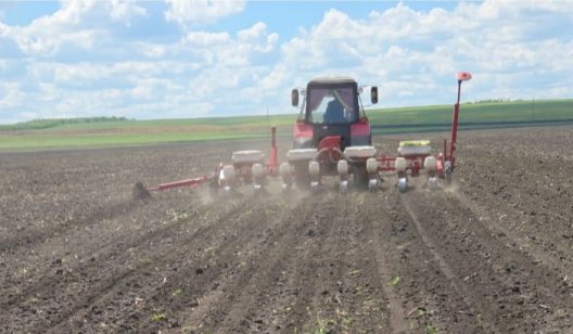 На скільки може подорожчати хліб: розрахунки фермера зі Слов’янщини