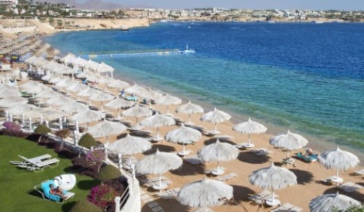 Какой отель для отдыха в Египте выбрал мэр Славянска