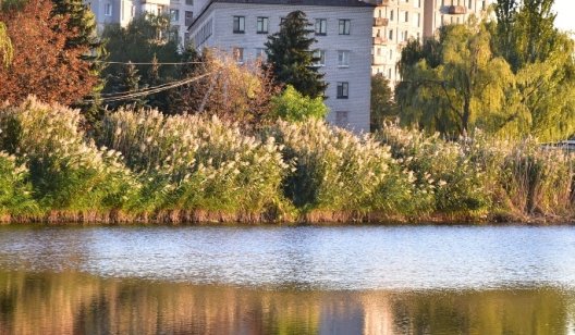 В центре Славянска появится прокат лодок и плавающие цветы