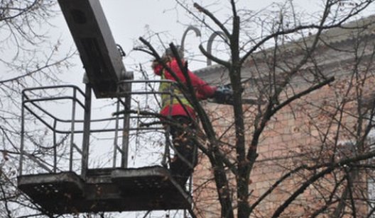 В центре Славянска кронируют деревья
