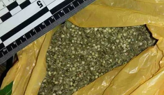 В Славянске обнаружили 10 кг наркотиков