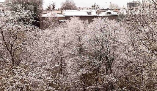 Вже цього тижня в Україні випаде перший сніг