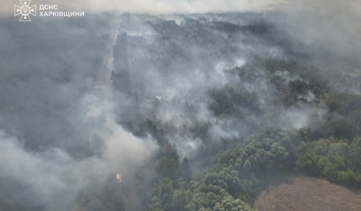 Рятувальники 2 доби гасять пожежу у лісі під Балаклією