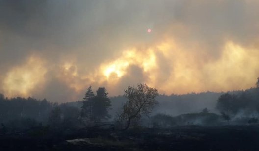 Лесные пожары в Харьковской области. Огонь тушат сотни спасателей, в регион вылетел Аваков