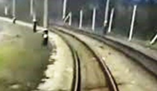 Момент схода с рельсов поезда "Интерсити" под Запорожьем попал на видео