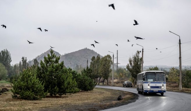 Хто може керувати вільною економічною зоною у Донецькій області: подробиці від ЗМІ