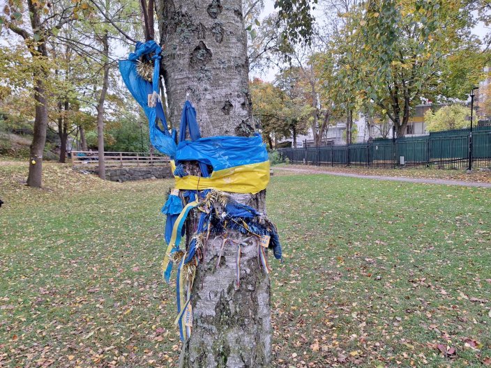 На деревах у парку біля російського посольства пов’язані стрічки з кольорами українського прапора.